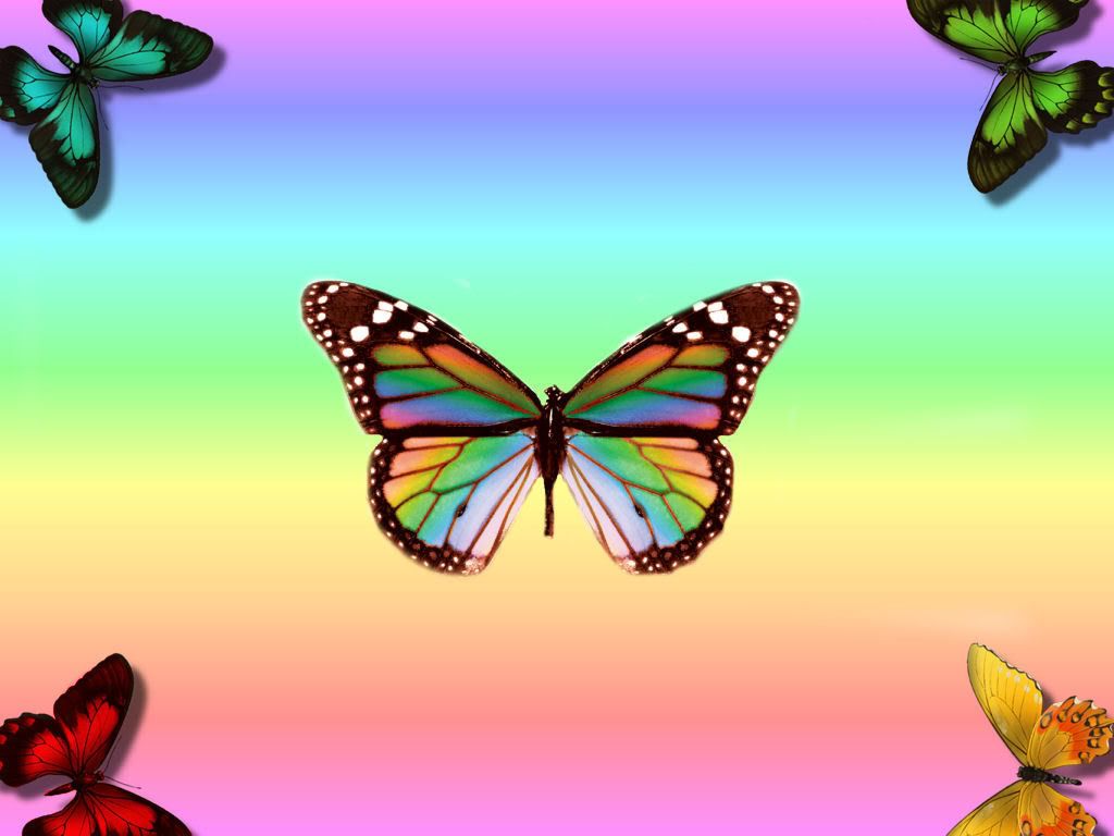 Butterfly Rainbows Wallpaper Ba...